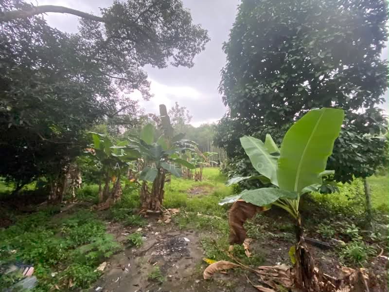 Tanah Pertanian untuk Dijual di Kempas Permatang (Tampoi) - Sarah Yusof - Garden - PropertyGuru.com.my