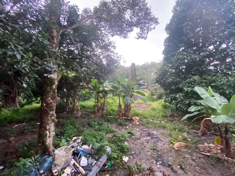 Tanah Pertanian untuk Dijual di Kempas Permatang (Tampoi) - Sarah Yusof - Exterior - PropertyGuru.com.my