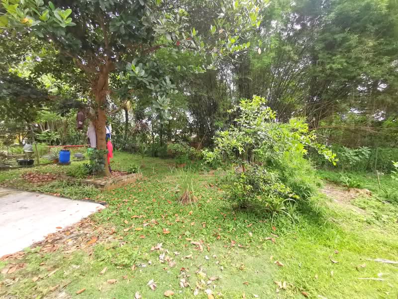 Terraced House for Sale in Bandar Putra Permai (Seri Kembangan) - Lily Siow - Garden - PropertyGuru.com.my