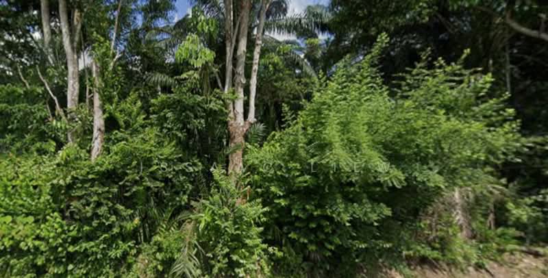 Industrial Land for Sale in Semenyih (Selangor) - Issaac Liew - Exterior - PropertyGuru.com.my