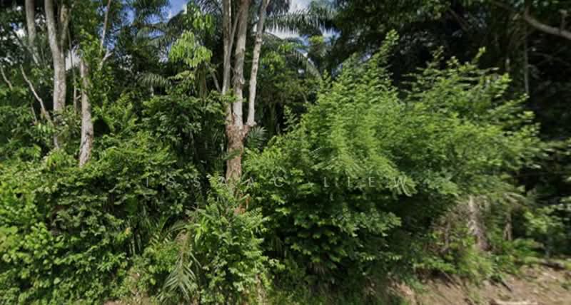 Industrial Land for Sale in Semenyih (Selangor) - Issaac Liew - Exterior - PropertyGuru.com.my