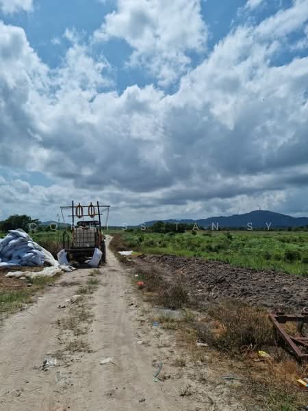 Agricultural Land for Sale in Kampung Jaya Gading (Kuantan) - Corliss Tan SY - PropertyGuru.com.my