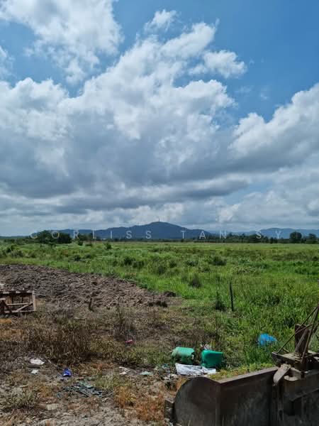 Agricultural Land for Sale in Kampung Jaya Gading (Kuantan) - Corliss Tan SY - PropertyGuru.com.my