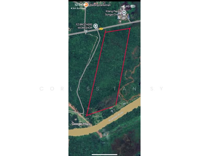 Agricultural Land for Sale in Kampung Batu Sawar (Kuantan) - Corliss Tan SY - PropertyGuru.com.my
