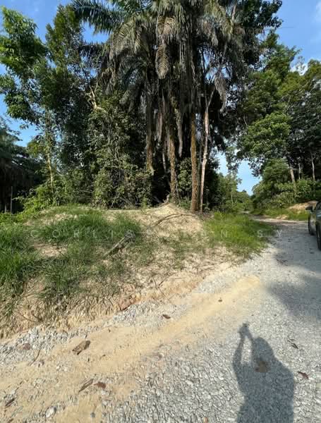 Agricultural Land for Sale in Kampung Batu Sawar (Kuantan) - Corliss Tan SY - PropertyGuru.com.my