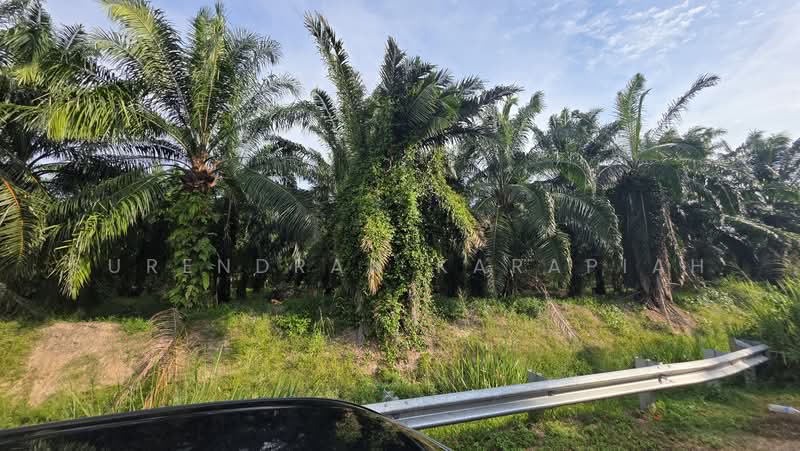 Agricultural Land for Sale in Teluk Panglima Garang (Banting) - Surendran Karapiah - PropertyGuru.com.my
