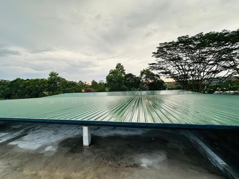 Bungalow House for Sale in Leisure Farm (Gelang Patah) - Catherine Thung - Roof - PropertyGuru.com.my