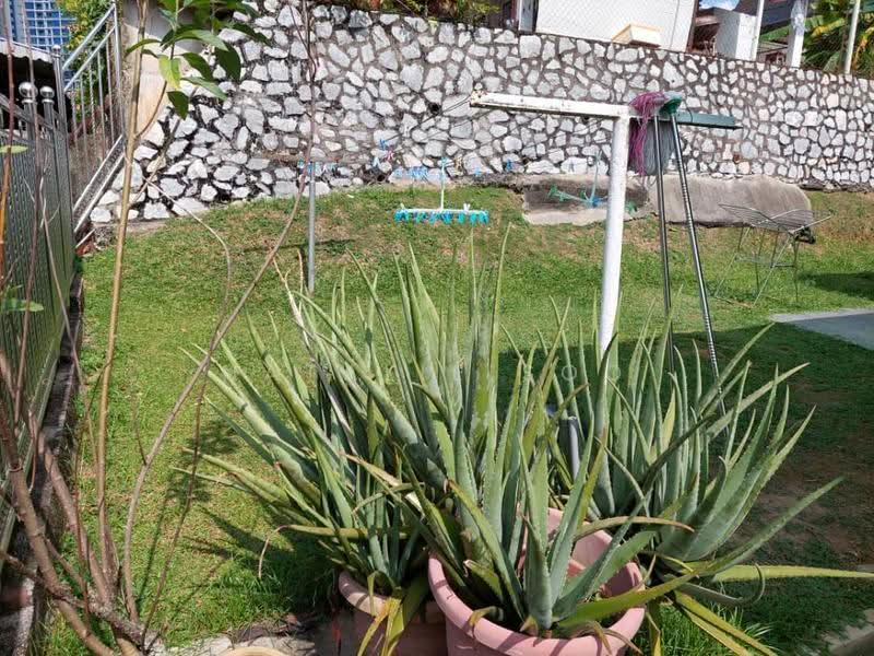 Bungalow House untuk Dijual di Shah Alam (Selangor) - Natalie Soo - Garden - PropertyGuru.com.my
