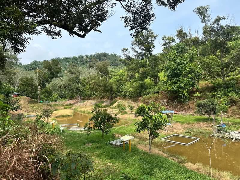 Hotel / Resort untuk Dijual di Kuala Kubu Bharu (Selangor) - Mohammad Omar - PropertyGuru.com.my