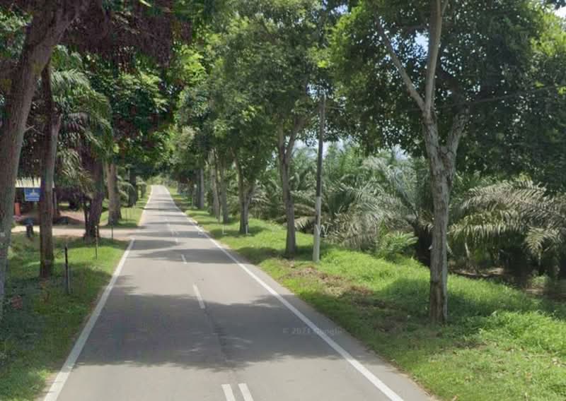 Tanah Pertanian untuk Dijual di Pasir Gudang (Johor) - Kelly Wai - Exterior - PropertyGuru.com.my