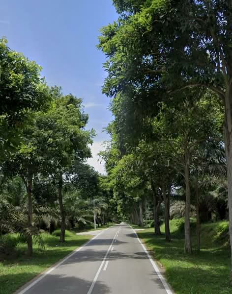 Tanah Pertanian untuk Dijual di Pasir Gudang (Johor) - Kelly Wai - Exterior - PropertyGuru.com.my