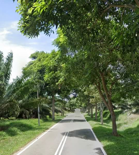 Tanah Pertanian untuk Dijual di Pasir Gudang (Johor) - Kelly Wai - Exterior - PropertyGuru.com.my