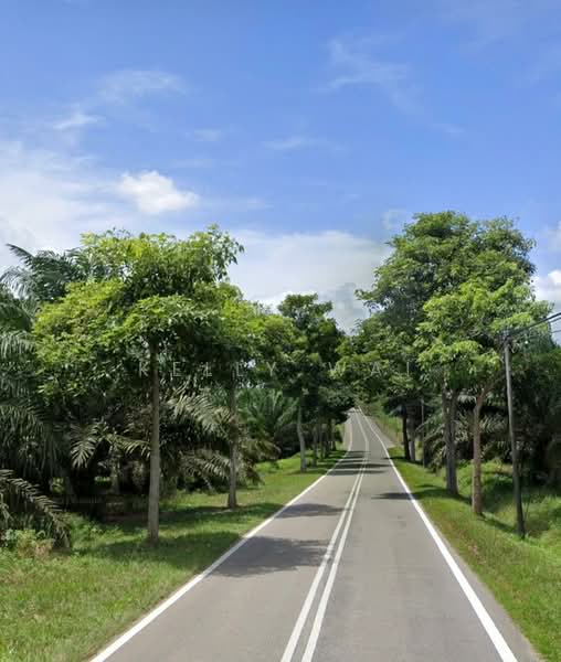Tanah Pertanian untuk Dijual di Kampung Kong Kong Laut (Pasir Gudang) - Kelly Wai - Exterior - PropertyGuru.com.my