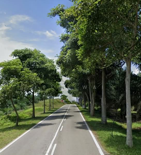 Tanah Pertanian untuk Dijual di Kampung Kong Kong Laut (Pasir Gudang) - Kelly Wai - Exterior - PropertyGuru.com.my