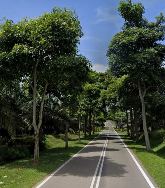 Tanah Pertanian untuk Dijual di Kampung Kong Kong Laut (Pasir Gudang) - Kelly Wai - Exterior - PropertyGuru.com.my