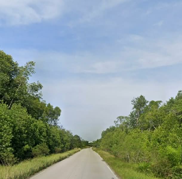 Industrial Land for Sale in Kampung Tanjung Kupang (Gelang Patah) - Kelly Wai - Exterior - PropertyGuru.com.my