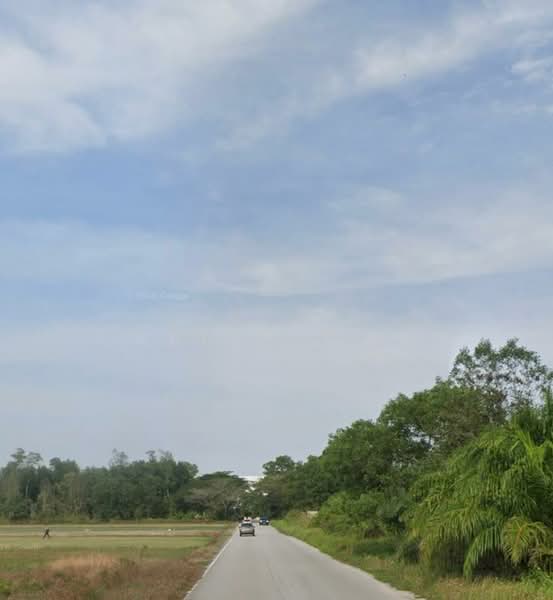 Industrial Land for Sale in Kampung Tanjung Kupang (Gelang Patah) - Kelly Wai - Exterior - PropertyGuru.com.my