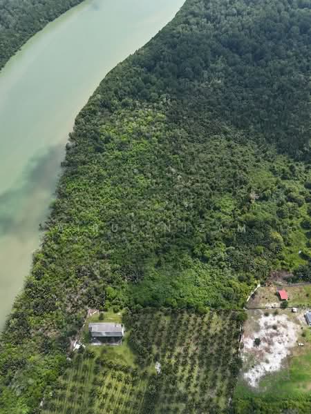 Tanah Pertanian untuk Dijual di Kota Tinggi (Johor) - AIRUL NIZAM - Exterior - PropertyGuru.com.my