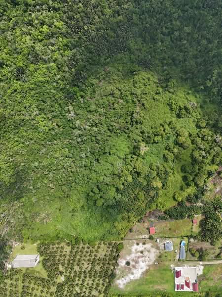 Tanah Pertanian untuk Dijual di Kota Tinggi (Johor) - AIRUL NIZAM - Exterior - PropertyGuru.com.my