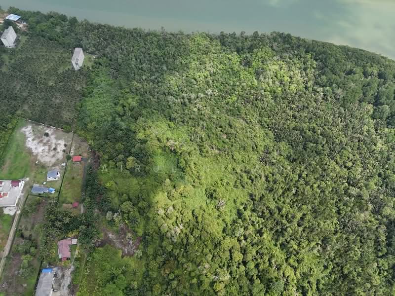 Tanah Pertanian untuk Dijual di Kota Tinggi (Johor) - AIRUL NIZAM - Exterior - PropertyGuru.com.my