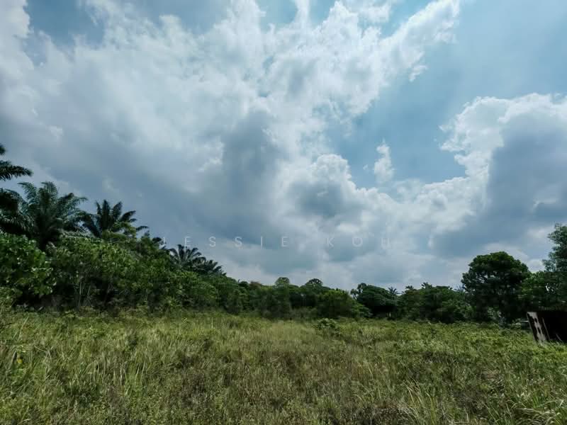 Industrial Land for Sale in Telok Panglima Garang (Selangor) - Jessie Koh - Exterior - PropertyGuru.com.my