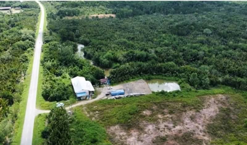 Agricultural Land for Rent in Muara Tebas (Kuching) - Mike Pang - Exterior - PropertyGuru.com.my