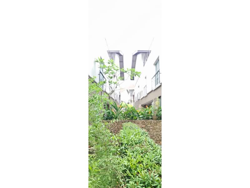 Cluster House for Rent in Leisure Farm (Gelang Patah) - VL Lee - PropertyGuru.com.my