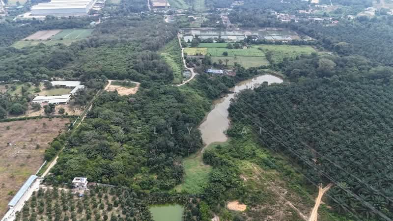 Tanah Pertanian untuk Dijual di Sungai Tiram (Ulu Tiram) - Kelly Wai - Exterior - PropertyGuru.com.my