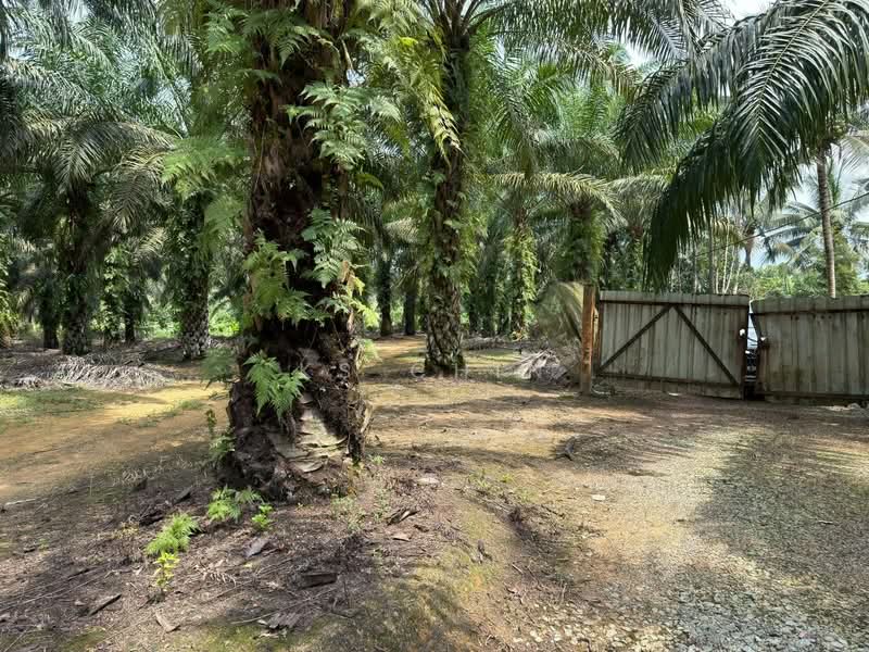 Tanah Pertanian untuk Dijual di Kota Tinggi (Johor) - KS Chin - Exterior - PropertyGuru.com.my
