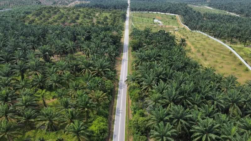 Tanah Perindustrian untuk Dijual di Kulai (Johor) - KS Chin - Exterior - PropertyGuru.com.my