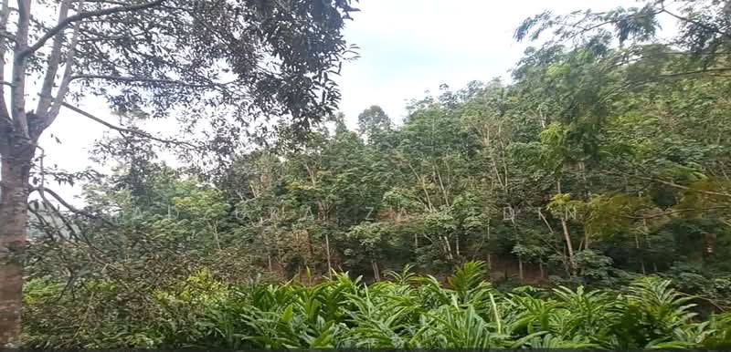 Agricultural Land for Sale in Kuala Pilah (Negeri Sembilan) - Adzura Zamedin - Exterior - PropertyGuru.com.my