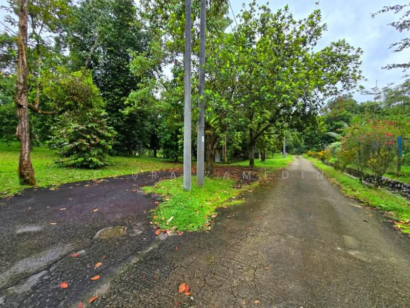 Agricultural Land for Sale in Batang Kali (Selangor) - Adzura Zamedin - Exterior - PropertyGuru.com.my