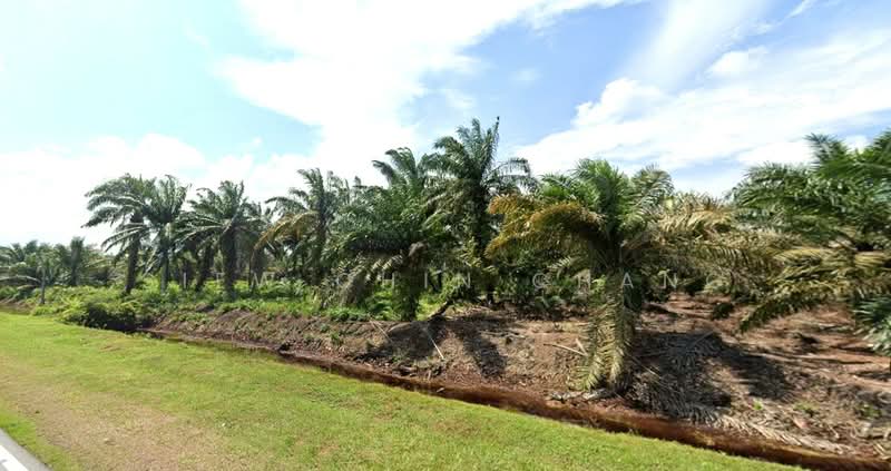Agricultural Land for Sale in Pekan Nenas (Jeram Batu) - SIEW CHIN CHANG - Exterior - PropertyGuru.com.my