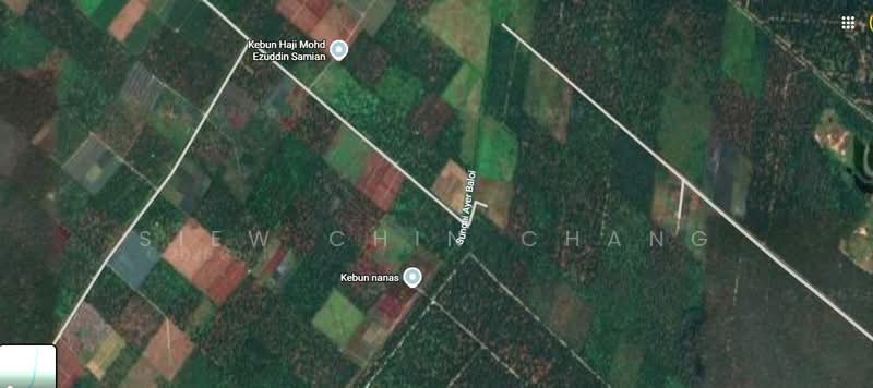 Agricultural Land for Sale in Pekan Nenas (Jeram Batu) - SIEW CHIN CHANG - PropertyGuru.com.my