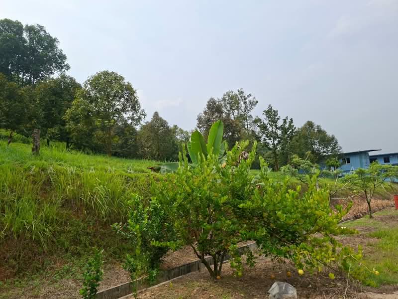 Agricultural Land for Sale in Batang Kali (Selangor) - Zawana BT Zaidi Ana - Exterior - PropertyGuru.com.my