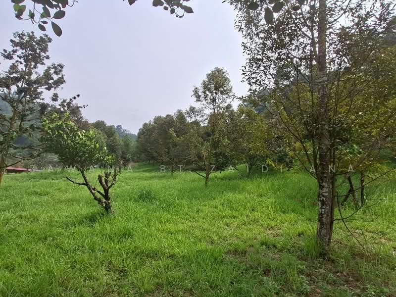 Agricultural Land for Sale in Batang Kali (Selangor) - Zawana BT Zaidi Ana - Garden - PropertyGuru.com.my