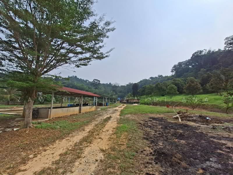 Agricultural Land for Sale in Batang Kali (Selangor) - Zawana BT Zaidi Ana - Exterior - PropertyGuru.com.my