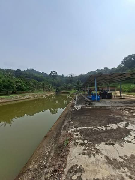Agricultural Land for Sale in Batang Kali (Selangor) - Zawana BT Zaidi Ana - Exterior - PropertyGuru.com.my