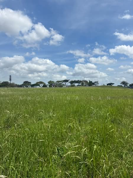 Agricultural Land for Sale in Leisure Farm (Gelang Patah) - Angelina Tan - Exterior - PropertyGuru.com.my