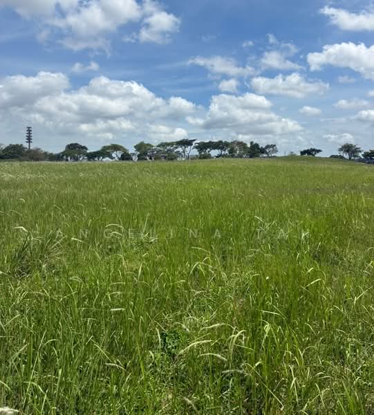 Agricultural Land for Sale in Leisure Farm (Gelang Patah) - Angelina Tan - Exterior - PropertyGuru.com.my