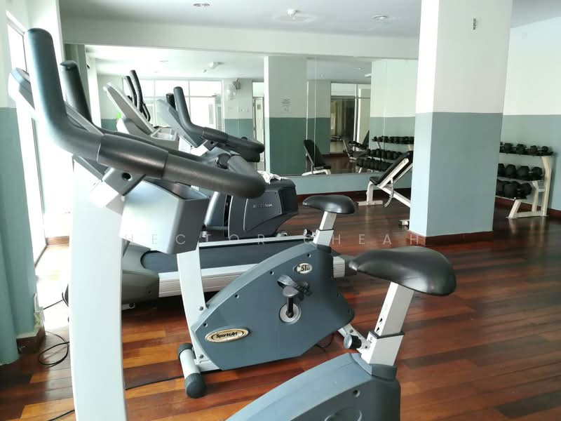 Condominium for Sale at Lakes Condominiums / Pangsapuri Tasik - Hector Cheah - Gym - PropertyGuru.com.my