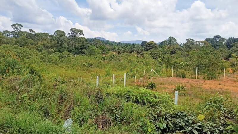 Others for Sale in Kota Tinggi (Johor) - ALHAFIZ AZIS - PropertyGuru.com.my