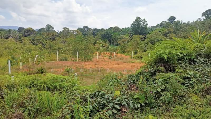 Others for Sale in Kota Tinggi (Johor) - ALHAFIZ AZIS - PropertyGuru.com.my