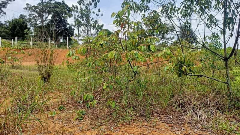 Others for Sale in Kota Tinggi (Johor) - ALHAFIZ AZIS - PropertyGuru.com.my