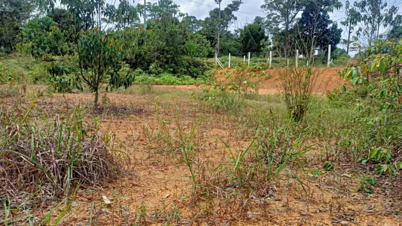 Others for Sale in Kota Tinggi (Johor) - ALHAFIZ AZIS - PropertyGuru.com.my