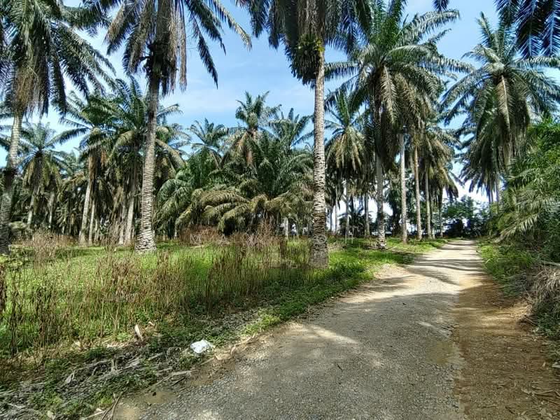 Industrial Land for Sale in Kampung Baru Seelong (Senai) - Max Loh - Exterior - PropertyGuru.com.my