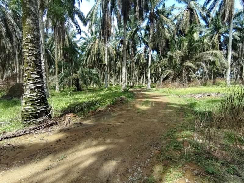 Industrial Land for Sale in Kampung Baru Seelong (Senai) - Max Loh - Exterior - PropertyGuru.com.my