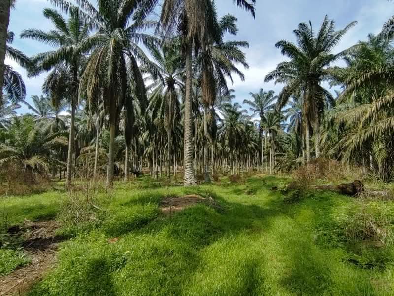 Tanah Perindustrian untuk Dijual di Kulai (Johor) - Max Loh - Exterior - PropertyGuru.com.my