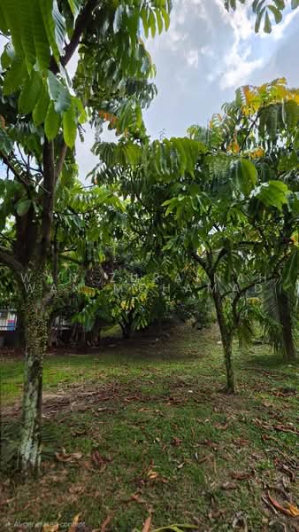 2-storey Terraced House for Sale in Bukit Jelutong (Shah Alam) - Wan Zurainah Wan Mohamad - PropertyGuru.com.my