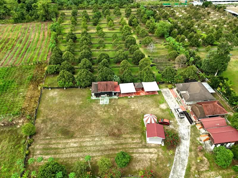 Agricultural Land for Sale in Lawin (Kuala Kangsar) - Cherie Chong - PropertyGuru.com.my